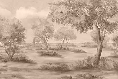 Susan Harter Muralpapers