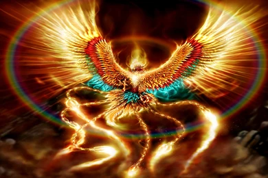 39 Phoenix HD Wallpapers