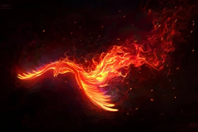 Phoenix Live Wallpapers   Android Apps On Google Play