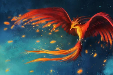 39 Phoenix HD Wallpapers