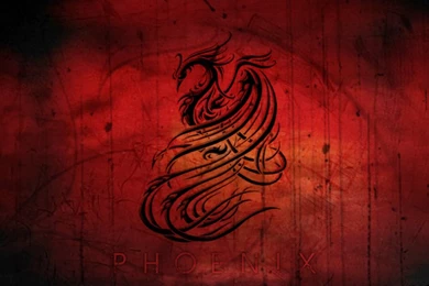 Phoenix Pack 2 Live Wallpapers APK Download   Free Personalization ...