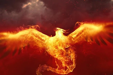 50+ Extremely Good Phoenix Wallpapers HD   Over The Top Mag