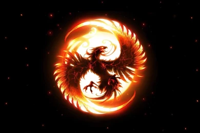 Phoenix Pack 2 HD Wallpapers   Android Apps On Google Play