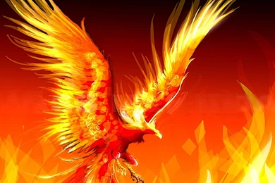Wallpapers Phonix Phoenix 1680x1050