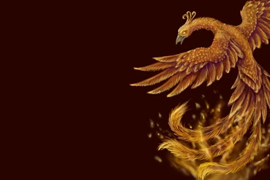 Phoenix Computer Wallpapers, Desktop Backgrounds