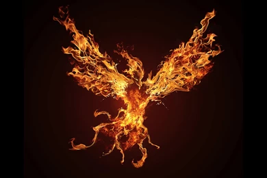 Download Dark Phoenix Wallpapers 176 2560x1440 Px High Resolution ...