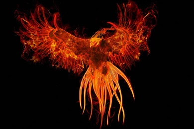 Phoenix Live Wallpapers   Android Apps On Google Play