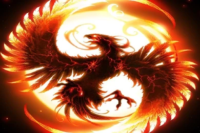 Dragon Vs Phoenix Wallpapers