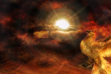 Phoenix Wallpapers By LKHobby On DeviantArt