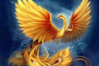 Phoenix HD Wallpaper,fantasy Wallpaper,phoenix Wallpapers ...