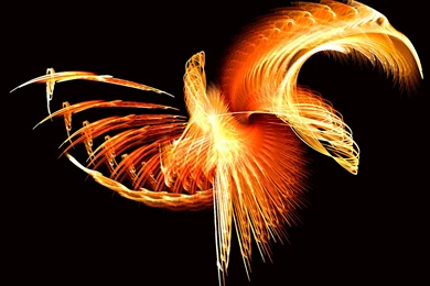 Wallpaper, Graphic, And Vector: Phoenix Wallpapers