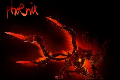 PhoeniX Wallpapers By Phoenix bih On DeviantArt