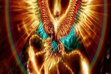 iPhone 5   Fantasy/Phoenix   Wallpapers ID: 1301