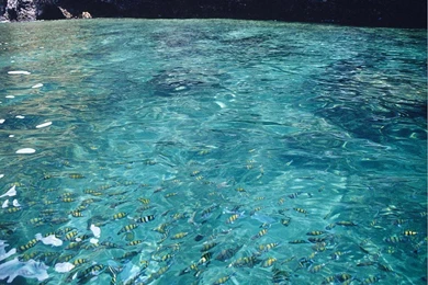 Tropical Beach Wallpapers 041, Free Desktop Wallpapers, Cool Wallpapers