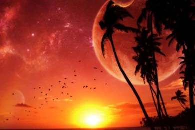 Free Tropical Wallpapers