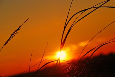 Sunset Wallpapers HD