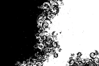 Beauty Abstract Black White Backgrounds   Abstract, Black, Design ...