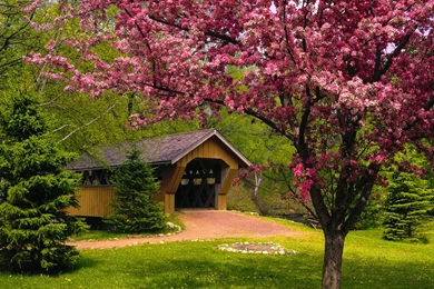 HD Wallpapers Spring Season Wallpapermonkey.com