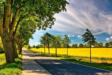 Spring Season Phone Wallpapers : Nature Wallpapers   LocaLwom