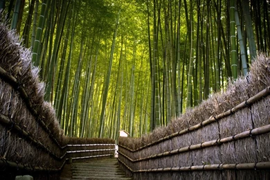 Apple Mac Wallpapers HD