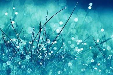 Download Free Everlasting Cool Wallpapers HD   The Quotes Land