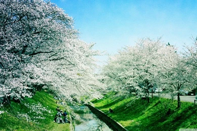 Spring (season) Wallpapers