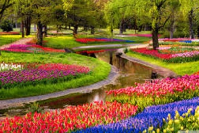 Beautiful Spring Season Wallpaper_other_health Questions,pictures ...