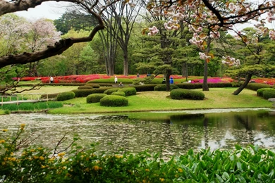 Spring Season Phone Wallpapers : Nature Wallpapers LocaLwom