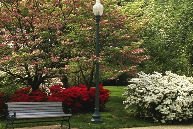 Spring Season Wallpapers