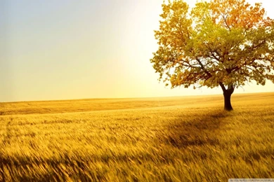 Nature Wallpapers For Desktop Backgrounds Full Screen – Valentine ...