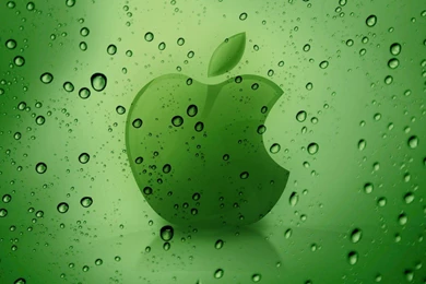 Hd Green Wallpapers For PC Full Screen Apple