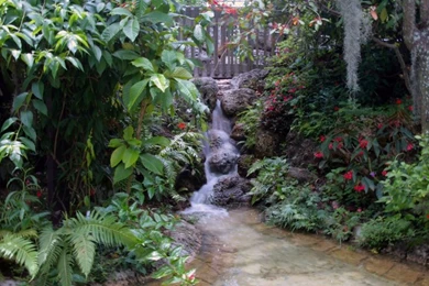 Buddhism Religious Buddhist Temple In Winter – Nature Other HD ...