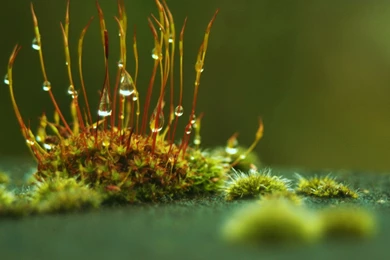 Geography, Scenery, World, Places, Wallpapers (