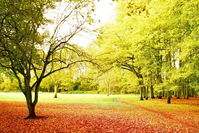 Beautiful Nature HD Backgrounds_430