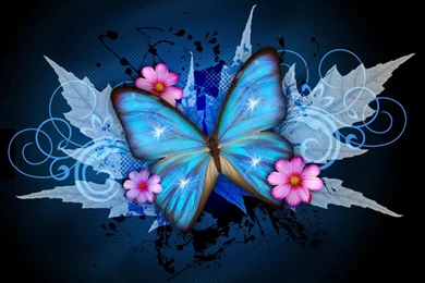 Shiny Butterfly Live Wallpapers   Android Apps On Google Play