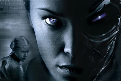 MOVIE   Kristanna Loken Terminator 3 Rise Of The Machines ...