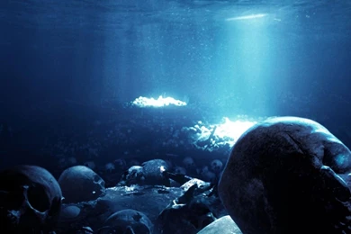 Terminator 3: Rise Of The Machines Wallpapers And Images ...