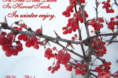 Happy Quotes About Winter. QuotesGram