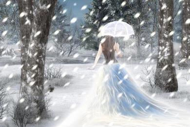 Beautiful Winter Pictures