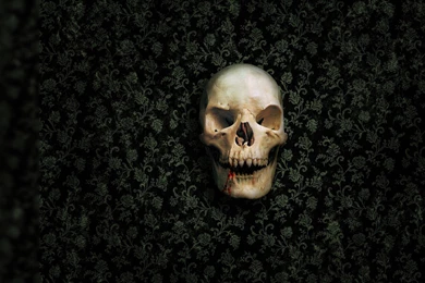Vampire Skull Wallpapers Related Keywords & Suggestions   Vampire ...