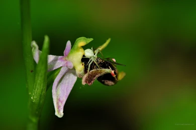 2160x1440 Wallpapers Travel. Free Backgrounds And Wallpapers