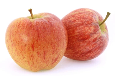 New Zealand Royal Gala Red Apple On White Backgrounds ...