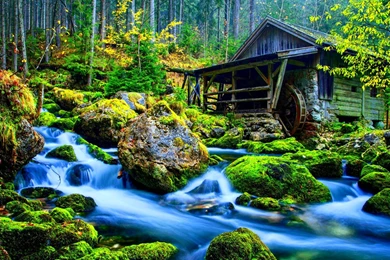 3d Moving Wallpapers Of Nature – Wallpapers