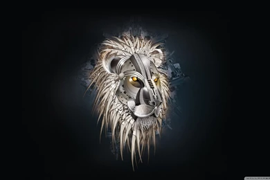 Wallpapers Sail Lion Hd Widescreen High Definition Fullscreen ...