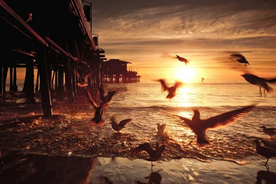 Sunset In Santa Monica. California Wallpapers And Images ...