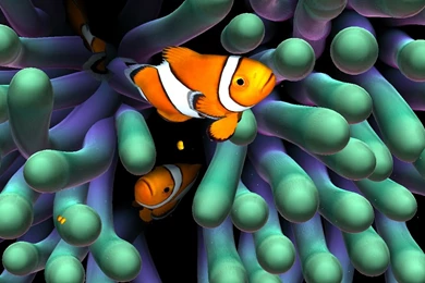 Sim Aquarium Live Wallpapers   Android Apps On Google Play