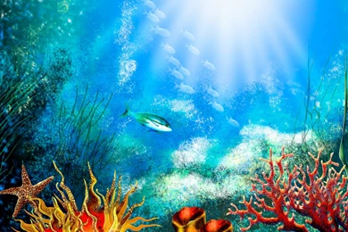 Pic New Posts: Aquarium Wallpapers 3d