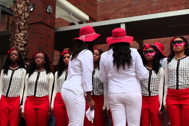 Lambda Psi Chapter Of Delta Sigma Theta, Sorority Inc. Spring 2014 ...