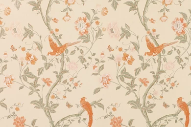 Wallpapers Floral Collection (37+)