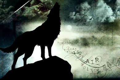 21 Wolf's Rain HD Wallpapers